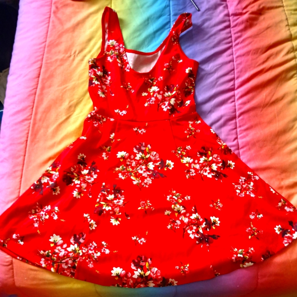 Divided dress